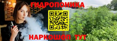 гидропоника Кингисепп