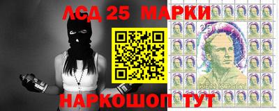 гидропоника Кингисепп